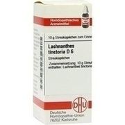 DHU-Arzneimittel LACHNANTHES TINCT. D 6 GLOBULI, 10 g