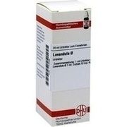 DHU-Arzneimittel LAVANDULA URTINKTUR DILUTION