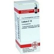 DHU-Arzneimittel LEDUM C 12 GLOBULI, 10 g
