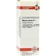 DHU-Arzneimittel MARUM VERUM D 1 DIL. 20 ML DILUTION