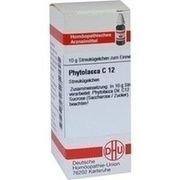 DHU-Arzneimittel PHYTOLACCA C 12 GLOBULI, 10 g
