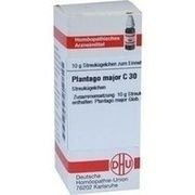 DHU-Arzneimittel PLANTAGO MAJOR C 30 GLOBULI, 10 g