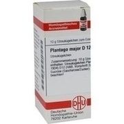 DHU-Arzneimittel PLANTAGO MAJOR D 12 GLOBULI, 10 g