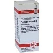 DHU-Arzneimittel PLANTAGO MAJOR D 6 GLOBULI, 10 g