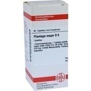 DHU-Arzneimittel PLANTAGO MAJOR D 6 TABLETTEN, 80 St.