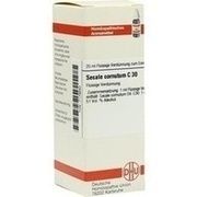 DHU-Arzneimittel SECALE CORNUTUM C 30 DIL. 20 ML DILUTION