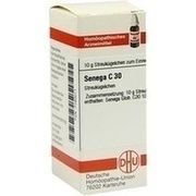 DHU-Arzneimittel SENEGA C 30 GLOBULI, 10 g