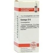 DHU-Arzneimittel SENEGA D 6 GLOBULI, 10 g