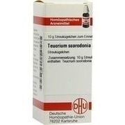 DHU-Arzneimittel TEUCRIUM SCOROD. D 6 GLOBULI, 10 g