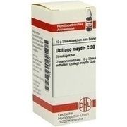 DHU-Arzneimittel USTILAGO MAYDIS C 30 GLOBULI, 10 g