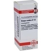 DHU-Arzneimittel VESPA CRABRO D 12 GLOBULI, 10 g