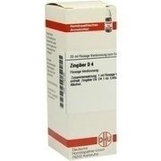 DHU-Arzneimittel ZINGIBER D 4 DILUTION, 20 ml