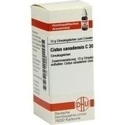 DHU-Arzneimittel CISTUS CANADENSIS C 30 GLOBULI, 10 g
