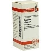DHU-Arzneimittel DIOSCOREA VILLOSA C 6 GLOBULI, 10 g