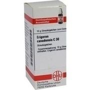 DHU-Arzneimittel ERIGERON CANADENSIS C 30 GLOBULI, 10 g