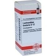DHU-Arzneimittel LACHNANTHES TINCT. D 12 GLOBULI, 10 g