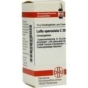 DHU-Arzneimittel LUFFA OPERCULATA C 200 GLOBULI, 10 g