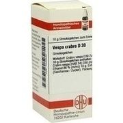 DHU-Arzneimittel VESPA CRABRO D 30 GLOBULI, 10 g