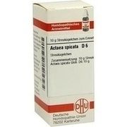 DHU-Arzneimittel ACTAEA SPICATA D 6 GLOBULI, 10 g