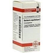 DHU-Arzneimittel BERBERIS AQUIFOLIUM D 6 GLOBULI, 10 g