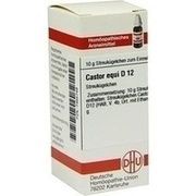 DHU-Arzneimittel CASTOR EQUI. D 12 GLOBULI, 10 g