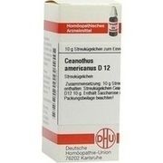 DHU-Arzneimittel CEANOTHUS AMERICANUS D 12 GLOBULI, 10 g