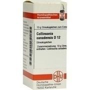DHU-Arzneimittel COLLINSONIA CANADENSIS D 12 GLOBULI, 10 g