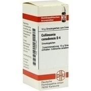 DHU-Arzneimittel COLLINSONIA CANADENSIS D 4 GLOBULI, 10 g