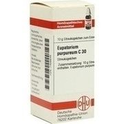 DHU-Arzneimittel EUPATORIUM PURPUREUM C 30 GLOBULI, 10 g
