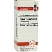 DHU-Arzneimittel FUCUS VESICULOSUS C 30 GLOBULI, 10 g