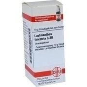 DHU-Arzneimittel LACHNANTHES TINCT. C 30 GLOBULI, 10 g