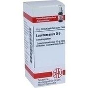 DHU-Arzneimittel LAUROCERASUS D 6 GLOBULI, 10 g