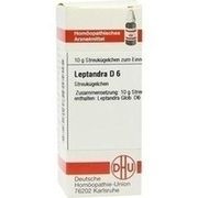 DHU-Arzneimittel LEPTANDRA D 6 GLOBULI, 10 g