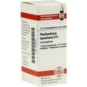DHU-Arzneimittel PHELLANDRIUM AQUATICUM D 6 GLOBULI, 10 g
