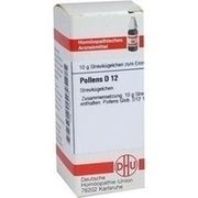 DHU-Arzneimittel POLLENS D 12 GLOBULI, 10 g