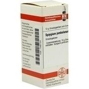 DHU-Arzneimittel SYZYGIUM JAMBOLANUM C 30 GLOBULI, 10 g