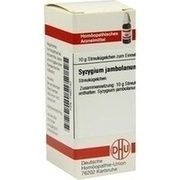 DHU-Arzneimittel SYZYGIUM JAMBOLANUM D 2 GLOBULI, 10 g