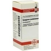 DHU-Arzneimittel SYZYGIUM JAMBOLANUM D 6 GLOBULI, 10 g