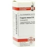 DHU-Arzneimittel FRAGARIA VESCA D 6 GLOBULI, 10 g