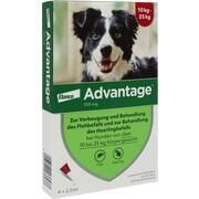 Elanco Advantage 250 Spot on Hund 4 Stk.