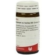 Wala ABROTANUM EX HERBA D 3 GLOBULI, 20 g