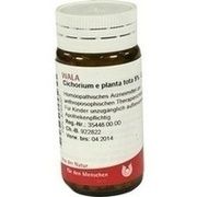Wala CICHORIUM E PLANTA TOTA 5% GLOBULI, 20 g