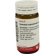 Wala GLANDULA SUPRAREN. SINIS. CUM CUPRO GLOB