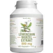 SinoPlaSan Löwenzahnwurzel-Extrakt 500 mg Kapseln 180 Stk.