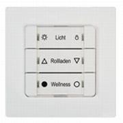 Rademacher DuoFern Mehrfachwandtaster BAT 9494-1