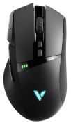 Rapoo VT350