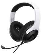 Raptor Gaming H300