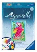 Ravensburger Aquarelle Papagei Ravensburger Aquarelle Papagei