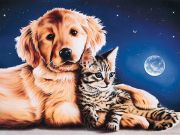 Ravensburger Freunde