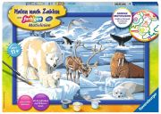 Ravensburger Malen nach Zahlen Tiere der Arktis